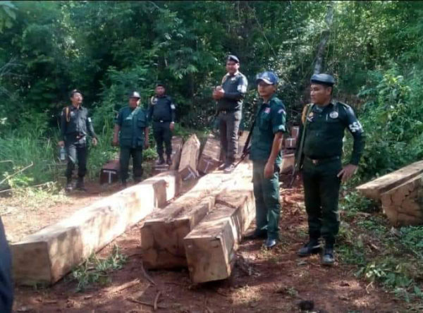 អាវុធហត្ថ​ខេត្ត​សហការ​ជាមួយ​កំលាំង​កងរាជអាវុធហត្ថ និង កំលាំង​អធិការដ្ឋាន​នគរបាល​ស្រុក​ពេជ្រា​ដា បង្ក្រាប​បទល្មើស​ព្រៃឈើ​ជាក់ស្ដែង​នៅ​ចំណុច​ភូមិ​ពូ​ទឹល ឃុំ​ប៊ូ​ស្រា ស្រុក​ពេជ្រា​ដា